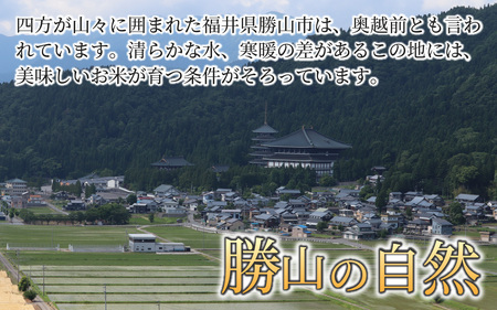 【定期便3ヶ月連続】勝山のお米コシヒカリ 精米 10kg（計 30kg） [I-010022]