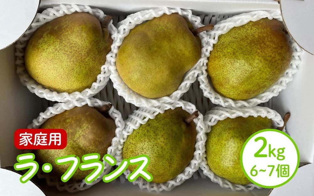 
                  西洋梨（ラ・フランス）２ｋｇ　ご家庭用　0065-2605
                
