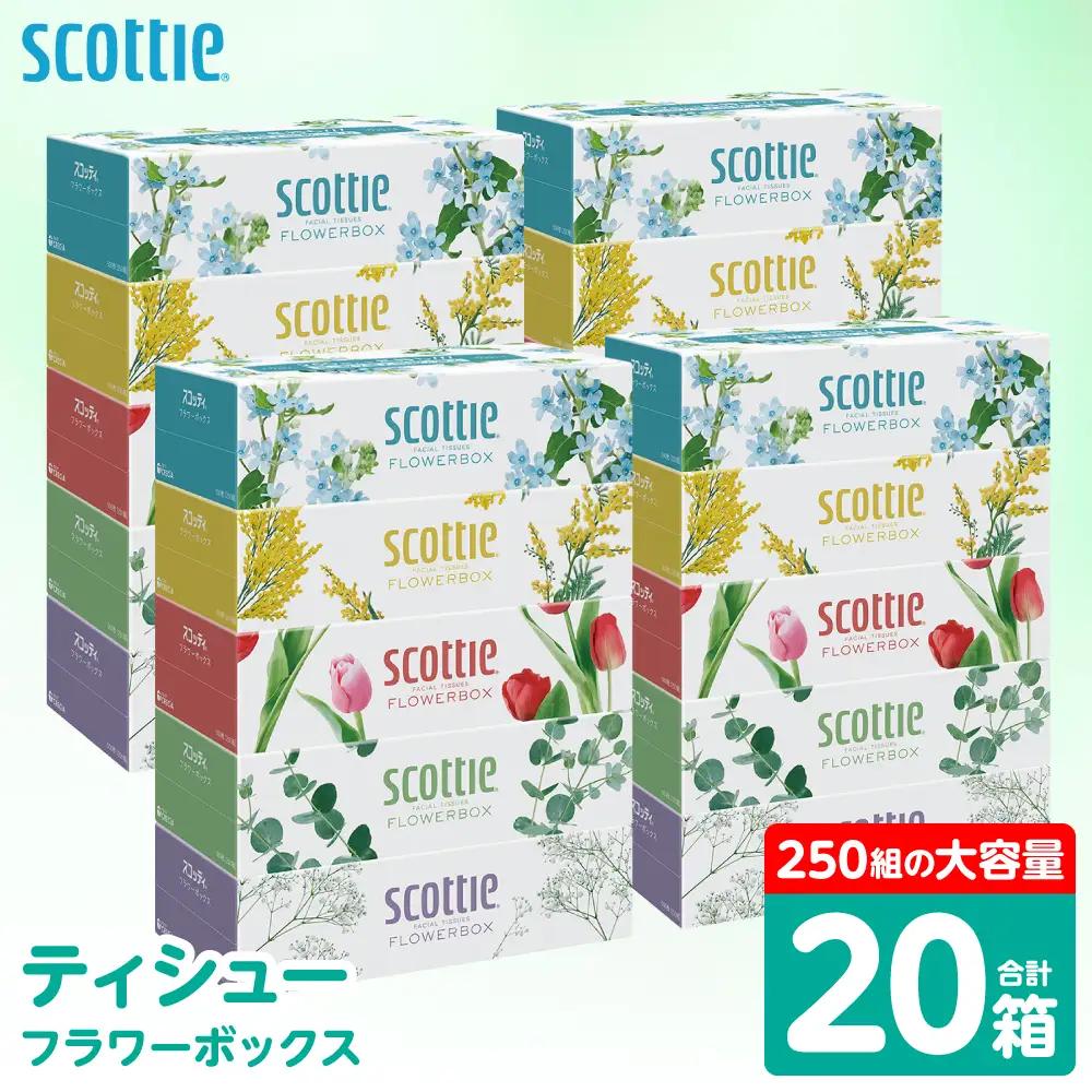 スコッティ ティッシュ 250組 20箱 ティシュー