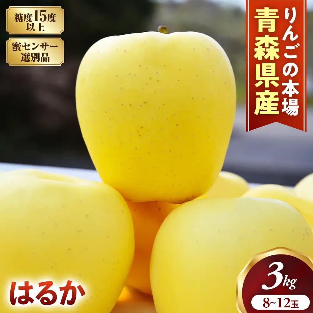 高級りんご「はるか」8～12玉 約3kg★蜜センサー選別品★