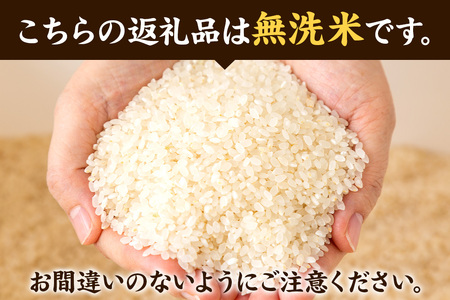 ＜令和7年産 新米受付＞《定期便8ヶ月》米【無洗米】秋田県大仙市産 あきたこまち 精米 10kg（5kg×2袋）令和7年産