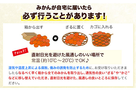 [ 訳あり ] 和歌山 有田 みかん 約 10kg (S～Lサイズいずれかお届け) 厳選館《11月上旬-1月末頃出荷》和歌山県 日高川町 有田みかん みかん 蜜柑 ミカン 柑橘 送料無料