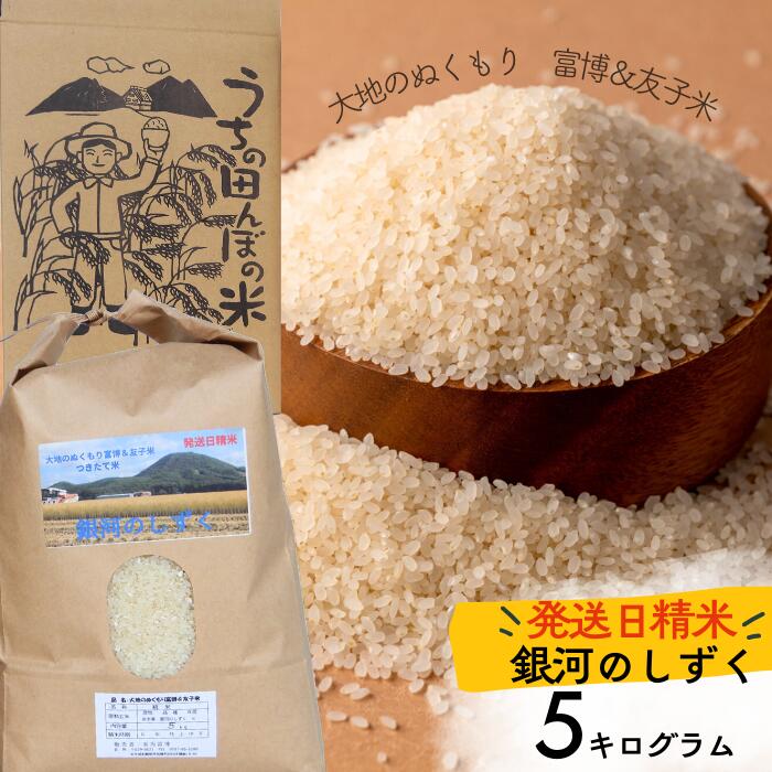【ふるさと納税】「大地のぬくもり　富博＆友子米」5kg 【新米再入荷！】岩手県西和賀町 にしわが 米 こめ お米 銀河のしずく 有馬富博