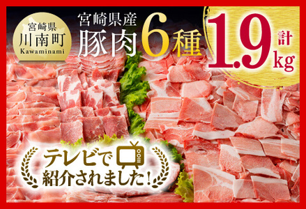 ヒルナンデスで紹介！※令和7年10月発送※宮崎県産豚肉６種　1.9kg 【小分け セット 豚肉 豚肉】