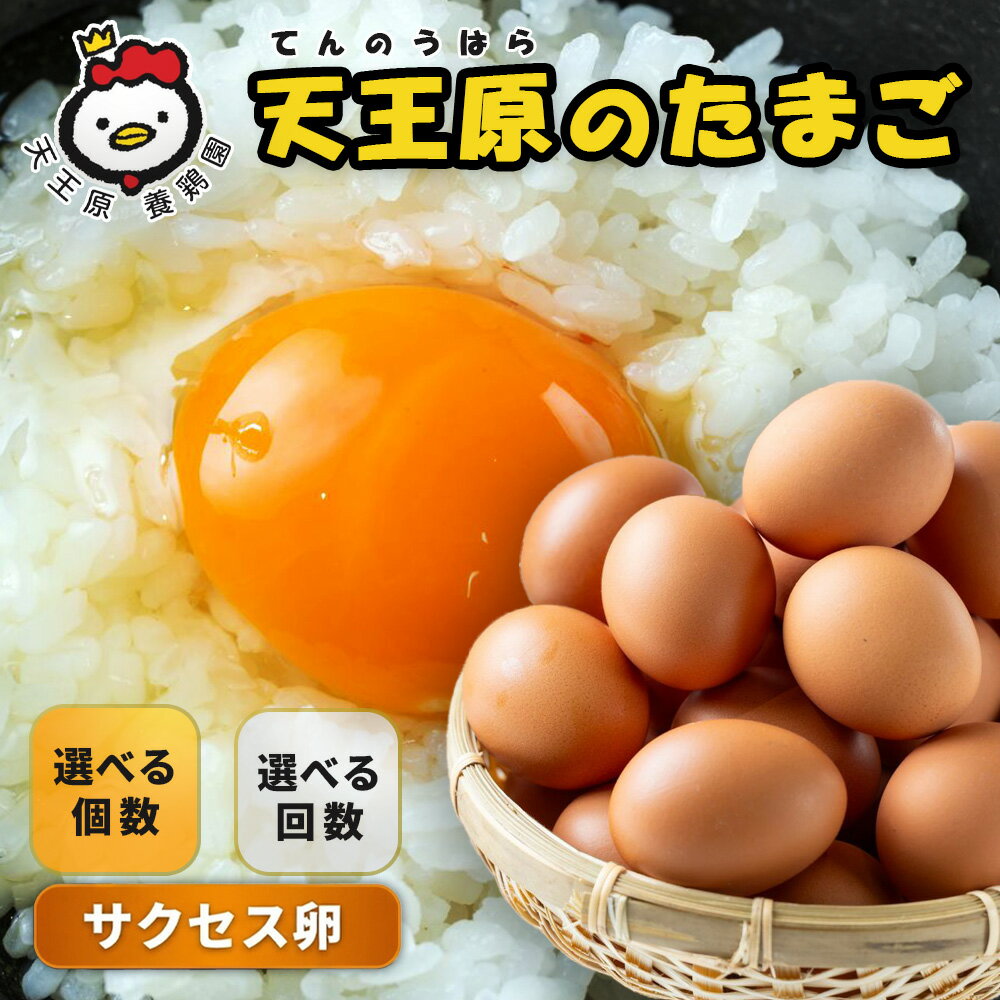 【ふるさと納税】＼選べる個数・回数／【定期便】天王原のたまご サクセス卵 30個 50個 160個 1回〜12回 | たまご 卵 玉子 タマゴ 濃厚 食べ比べ ハリ 弾力 ボリューム 甘味 旨味 卵黄 卵かけご飯 卵焼き 目玉焼き お中元 お歳暮 内祝い 快気祝い