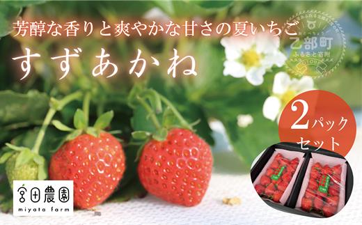 
            ＜すずあかね 2パックセット＞ 北海道 道産 夏いちご すずあかね
          