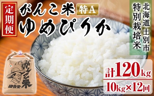 ＜令和8年産 先行予約！＞《定期便・全12回》田舎塾特別栽培米「がんこ米ゆめぴりか」(10kg×12回・計120kg) 【2026年10月中旬以降順次発送】 米 お米 白米 北海道産 北海道米 ゆめぴりか 特A 一等級 ごはん おこめ コメ 単一原料米 定期便 【田舎塾】【F7034】