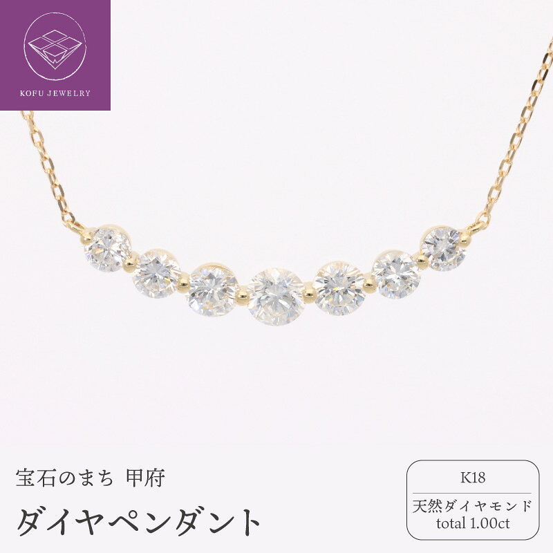【ふるさと納税】＜ 甲府ジュエリー ＞ ペンダント ネックレス ジュエリー レディース アクセサリー ダイヤモンド 1.00ct K18 18金 ライン ギフト プレゼント 誕生日 贈り物 ジュエリーケース 鑑別書付 保証書付 k053-155
