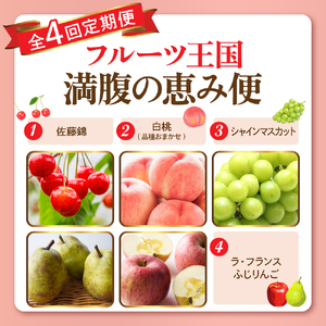 【2026年 4回定期便】2026年 フルーツ王国 満腹の恵み便 千笑花夢提供 山形県 東根市 hi082-045 サクランボ さくらんぼ 佐藤錦 フルーツ 果物 くだもの ぶどう シャインマスカット
