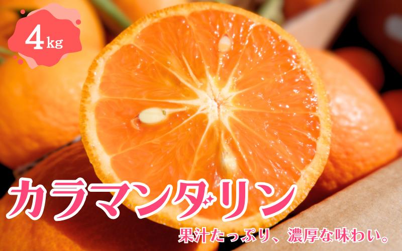 
                  【先行予約】カラマンダリン 4kg 【2026年4月下旬～5月下旬頃より順次発送】 / みかん ミカン 蜜柑 カラマンダリン 和歌山 田辺市 紀州 くだもの 柑橘 フルーツ 【aoi008-1】
                