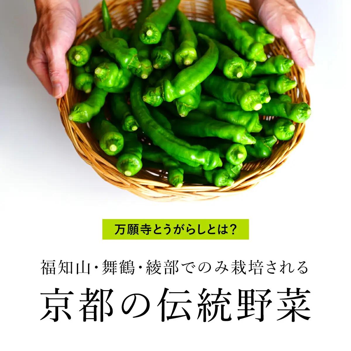 ＜先行予約！2026年6月上旬以降順次発送予定＞万願寺とうがらし(1kg) 京野菜 野菜 旬の野菜 万願寺とうがらし 伝統野菜 京都 【fc-DB007】【夜久野 清雫】