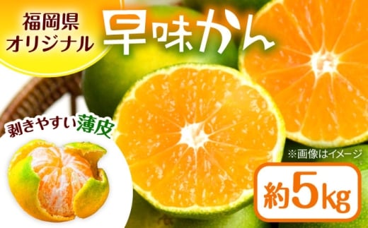 福岡県オリジナル品種極早生みかん『早味かん』約５kg／2026年9月頃より発送予定 [ADCF014]