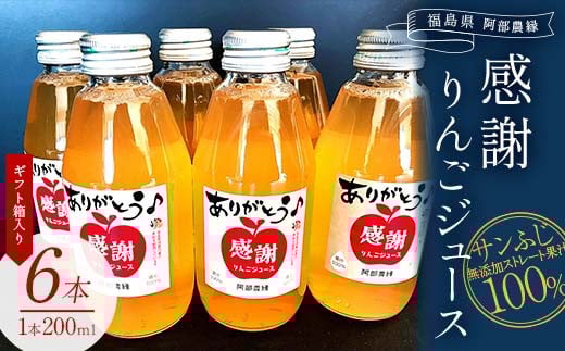
            阿部農縁　感謝りんごジュース6本ギフト箱入り　サンふじ無添加ストレート果汁100%　200ml×6本 F7X-0024
          