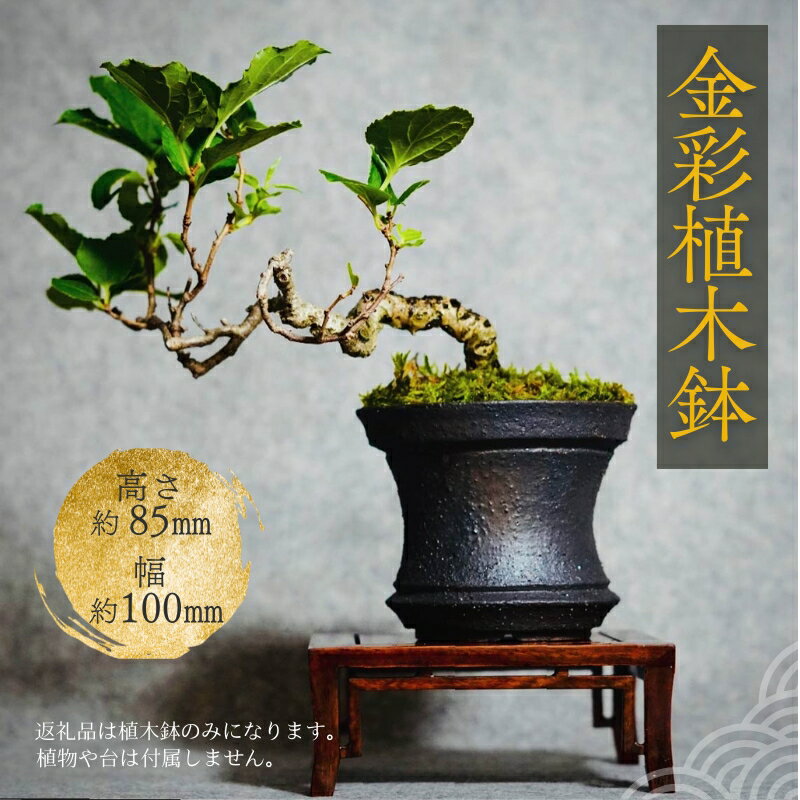 【ふるさと納税】金彩植木鉢 ミニ盆栽 多肉植物 手作り 植木鉢 うえきばち 一点もの 鉢 観葉植物 ガーデニング おしゃれ こだわりの逸品 地域特産品 ギフト 自分用 人気 おすすめ 大阪 河内長野 プレゼント 父の日 母の日 敬老の日 誕生日 お祝い 陶芸