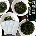 【ふるさと納税】 堀江銘茶園 栽培品種 7種飲み比べセット