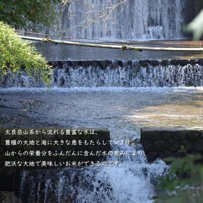 ふるさと納税 鹿島市 【令和7年産】佐賀県産 夢しずく 白米 5kg |  | 01