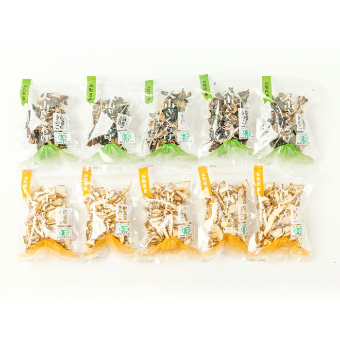 【ふるさと納税】オーガニック乾燥しいたけ（20g×5袋）＆乾燥きくらげ（20g×5袋）セット 保存食 長期保存 椎茸 シイタケ 木耳 キクラゲ 乾燥 野菜