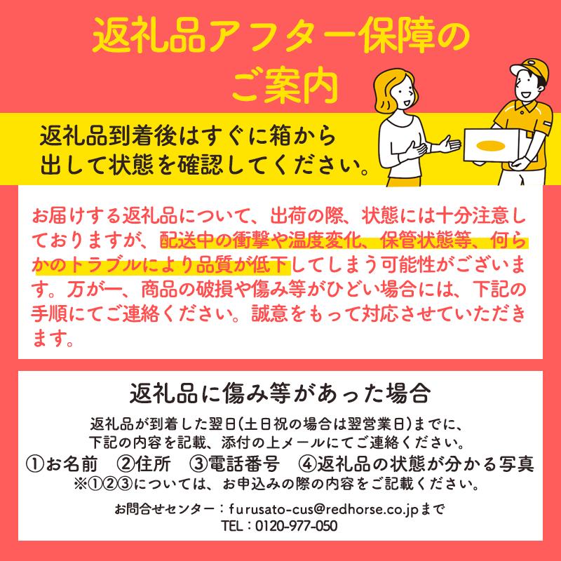 【2024年/令和6年度発送分！先行予約】パリッとした食感のシナノゴールド訳あり　約5kg