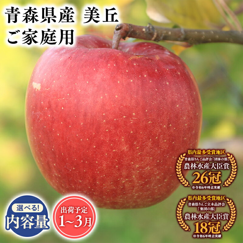 【ふるさと納税】2026年度産 先行予約!≪内容量が選べる≫青森県産 訳あり 美丘 3kg 5kg 10kg【青森県 平川市 そと川りんご園】 家庭用 青森 青森県産 平川 りんご リンゴ 林檎 くだもの 果物 フルーツ