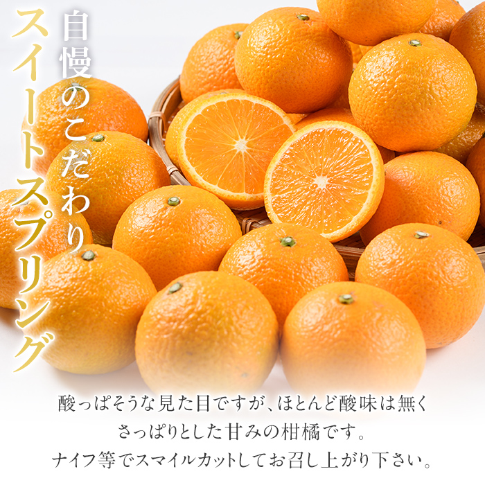 ＜先行予約受付中！2026年12月中旬以降順次発送予定＞ 訳あり！鹿児島県産スイートスプリング(計約10kg・37～43個程) 柑橘 果物 フルーツ 旬 デザート 国産 鹿児島県産 阿久根市産 小玉 
