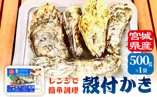 レンジで簡単調理 殻付きかき 500g 1P 冷凍 宮城県産 殻付き 簡単調理 BBQ 牡蠣 カキ 加熱用 蒸し牡蠣 焼き牡蠣 三陸 海鮮 魚介 海鮮物 BBQ バーベキュー キャンプ お取り寄せ レンチン 時短調理 宮城県 石巻市