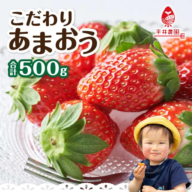 こだわりあまおう 250g×2パック（合計500g）｜2026年12月～順次発送＜ひらい観光農園＞ いちご イチゴ 苺 065-012