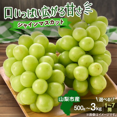 【ふるさと納税】【2026年発送】やみつきシャインマスカット500g以上/1.2kg/1.5kg/2kg/3kg【配送不可地域：離島】【G1304362】