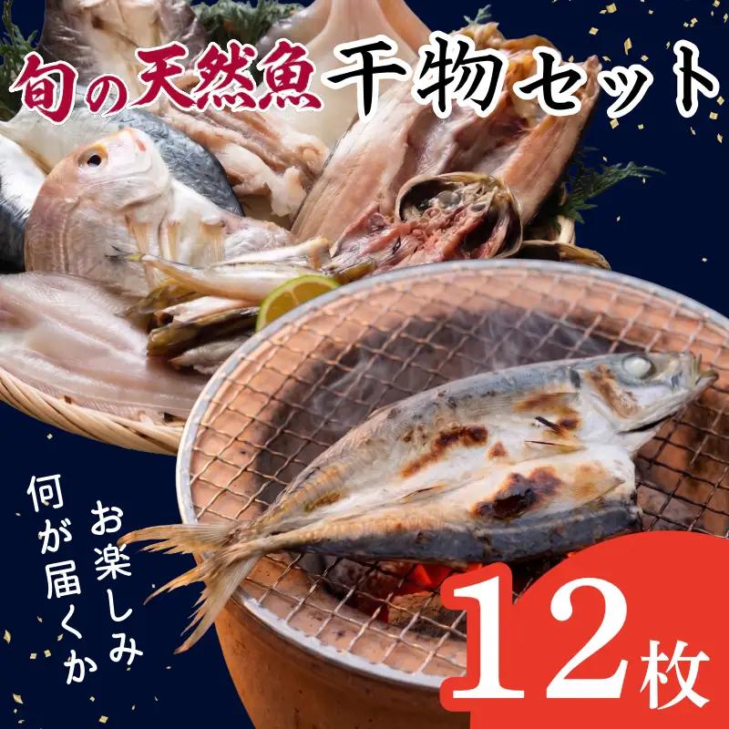 干物 詰め合わせ 4種以上 12枚