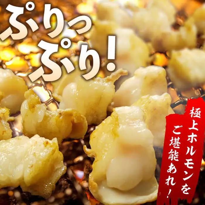 【全12回定期便】 【脂が甘くてぷりっぷり！】佐賀牛ホルモン 焼肉用 小腸 計6kg（250g/袋）味付けなし 吉野ヶ里町/やきとり紋次郎[FCJ093]