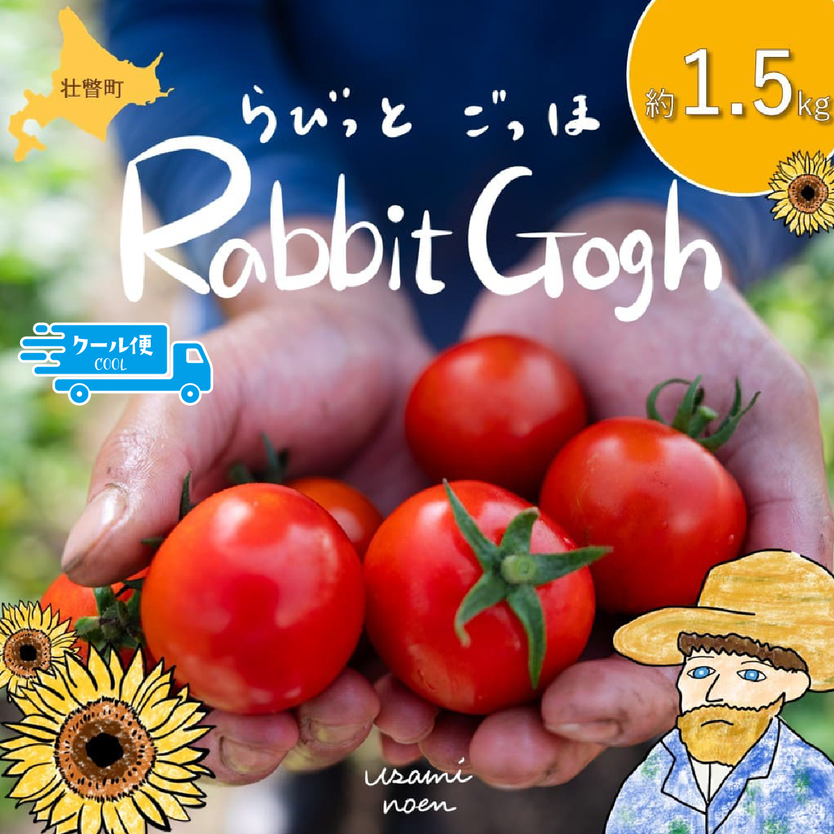 【2026年予約】極旨トマトクール便 北海道壮瞥町産 ラビットゴッホ1.5kg 中玉トマト SBTAJ002