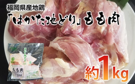 福岡県産地鶏「はかた地どり」もも肉(約1kg)【田川市】