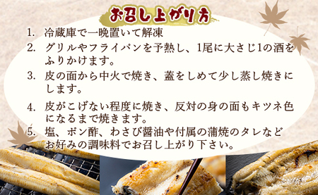 吉川水産 高知県産うなぎの白焼特大サイズ(180～210g)×1尾 タレ付き 自宅用エコ包装 yw-0042
