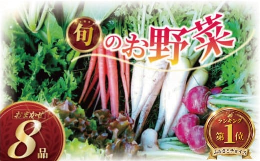 訳あり 旬 の 野菜セット 8品 種類おまかせ 旬 野菜 やさい yasai ヤサイ 野菜セット やさいセット 旬の野菜 お野菜 健康 果樹 栽培 自然 春野菜 夏野菜 秋野菜 冬野菜 10000円 不揃い おまかせ 訳アリ 訳あり品 わけあり 訳有 ワケアリ 数量限定 農家直送 産地直送 神奈川 湘南 藤沢
