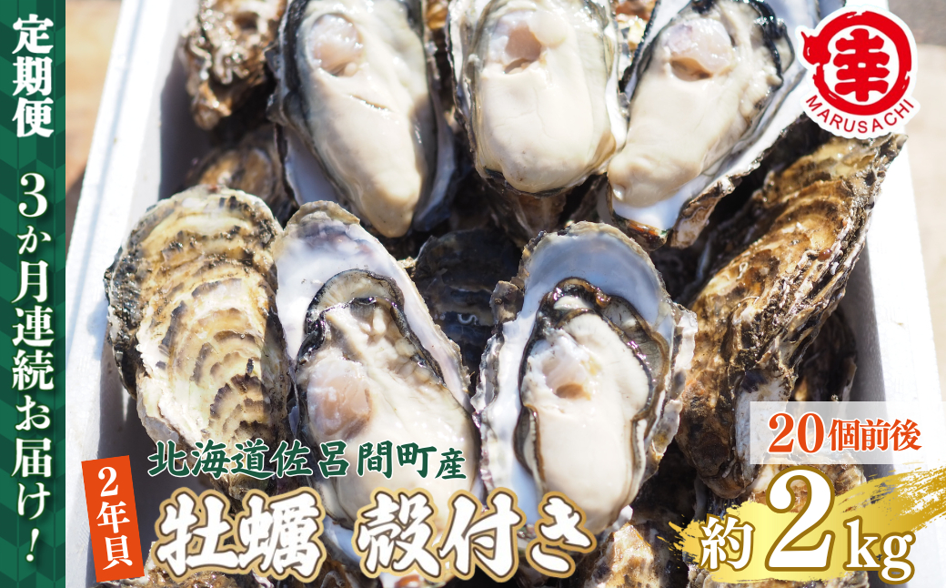 【先行予約】【10月中旬から順次発送】カキ 殻付き 2年貝 約2kg（20個前後） 佐呂間産 ［3回定期便］ SRMA039