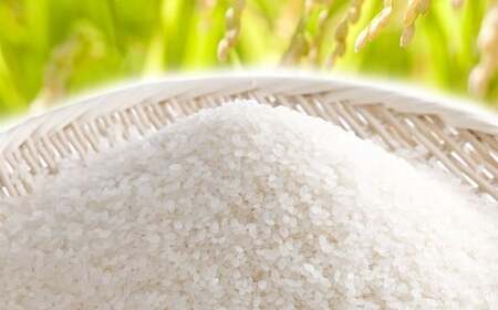 【3ヶ月定期便】 【令和7年産】 たとみ農園のお米 ヒノヒカリ 2kg × 3回 （合計：6kg） お米 米 コメ こめ ご飯 白ご飯 白ごはん 白米 はくまい たとみ農園 山梨県産 国産 単一原料米