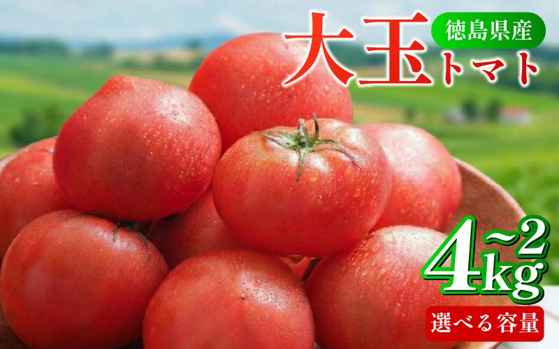 
            トマト 2kg ～ 4kg 選べる 容量 大玉 とまと 4月～6月発送 野菜 やさい 国産 産地直送 数量限定 旬 徳島県産 tomato サラダ おすすめ 徳島県
          
