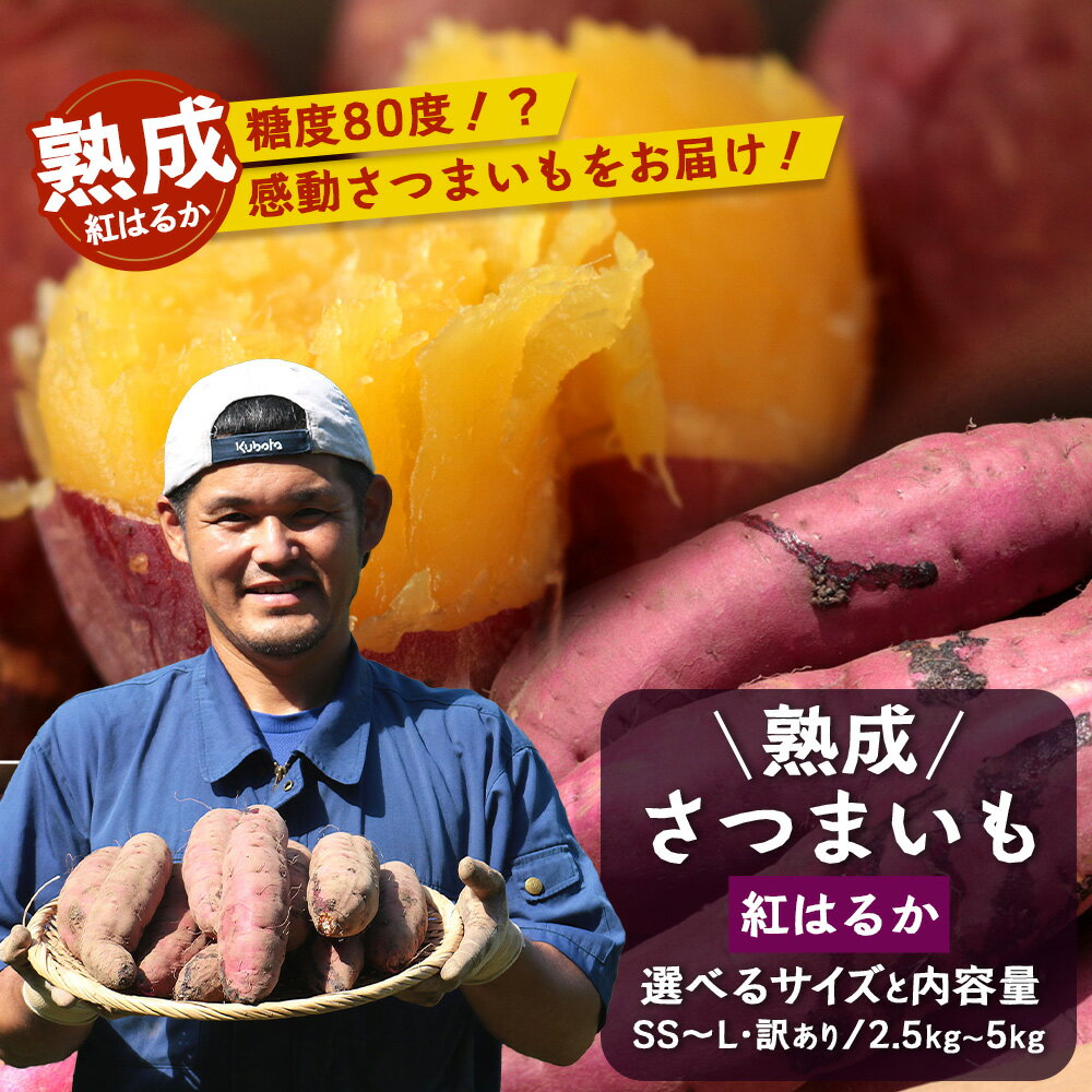 【ふるさと納税】【先行予約：2027年1月上旬配送～】熟成 さつまいも 【選べるサイズ！内容量！！】 ｜ 秋の味覚 2026年秋収穫 貯蔵 長期熟成 糖化 さつまいも サツマイモ 感動サツマイモ 焼き芋 べにはるか 小ぶり 野菜 ねっとり 濃厚 おやつ おかず お弁当