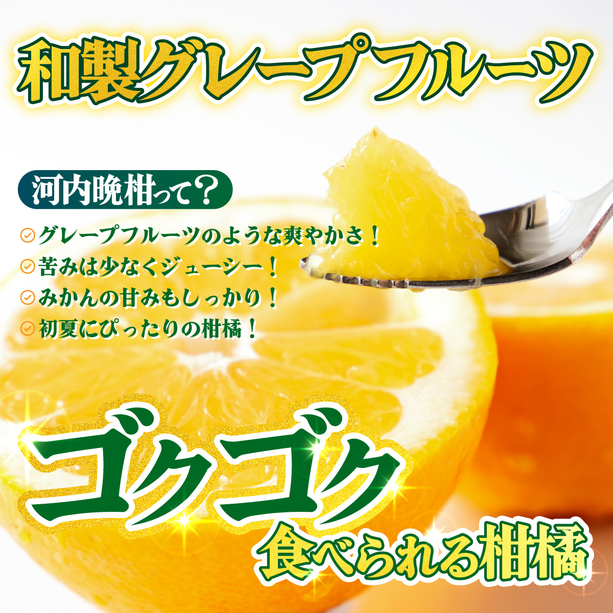 ＜【訳あり】愛媛県産 河内晩柑 約8kg＞『2026年4月上旬～8月下旬迄に順次発送予定』わけあり 訳アリ みずみずしい 和製グレープフルーツ かわちばんかん みかん 蜜柑 果物 くだもの フルーツ 