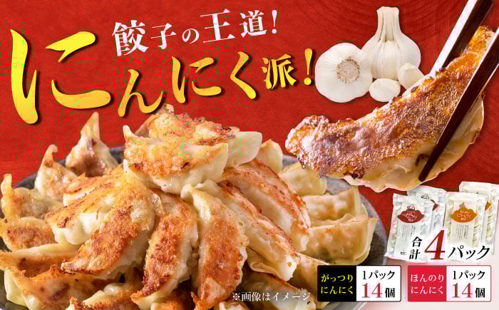 
            【王道！にんにく派×2パック】餃子2種セット！【餃子屋ヒロ】開成町 餃子 点心 惣菜 冷凍 [BDAS008-3]
          