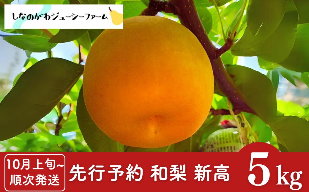 
            先行予約 和梨 新高 約5kg [10月上旬から発送予定] 新潟県 三条市産 梨 [しなのがわジューシーファーム]【015S134】
          