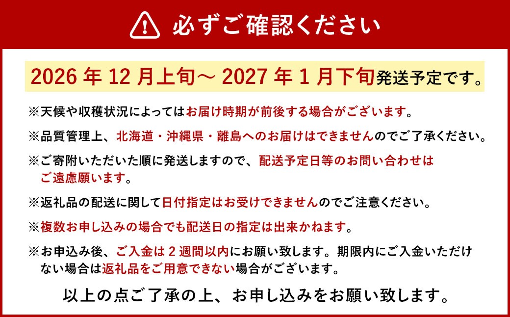 今季初採れあまおう 2パック【数量限定】
