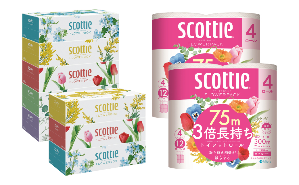 【定期便3回】【毎月1回お届け】【スコッティ】ティシュー フラワーボックス 250組（5箱パック×1セット・3箱パック×1セット）＋フラワーパック 3倍長持ち（4ロール(ダブル)パックx2セット）ティッシュ トイレットペーパー 日用品