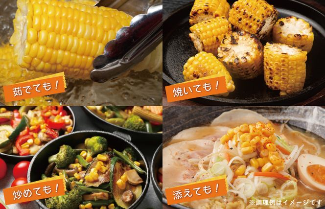【先行予約】秋収穫！ゴールドラッシュ 7本セット とうもろこし 先行予約 G1103