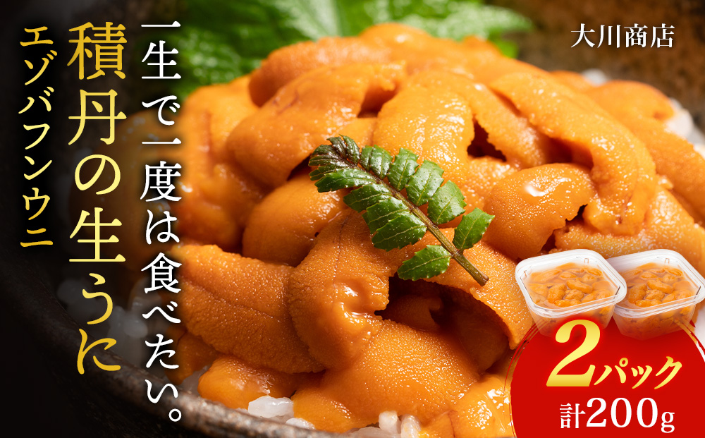 【2026年夏発送分】 バフンウニ 大川商店・2パック