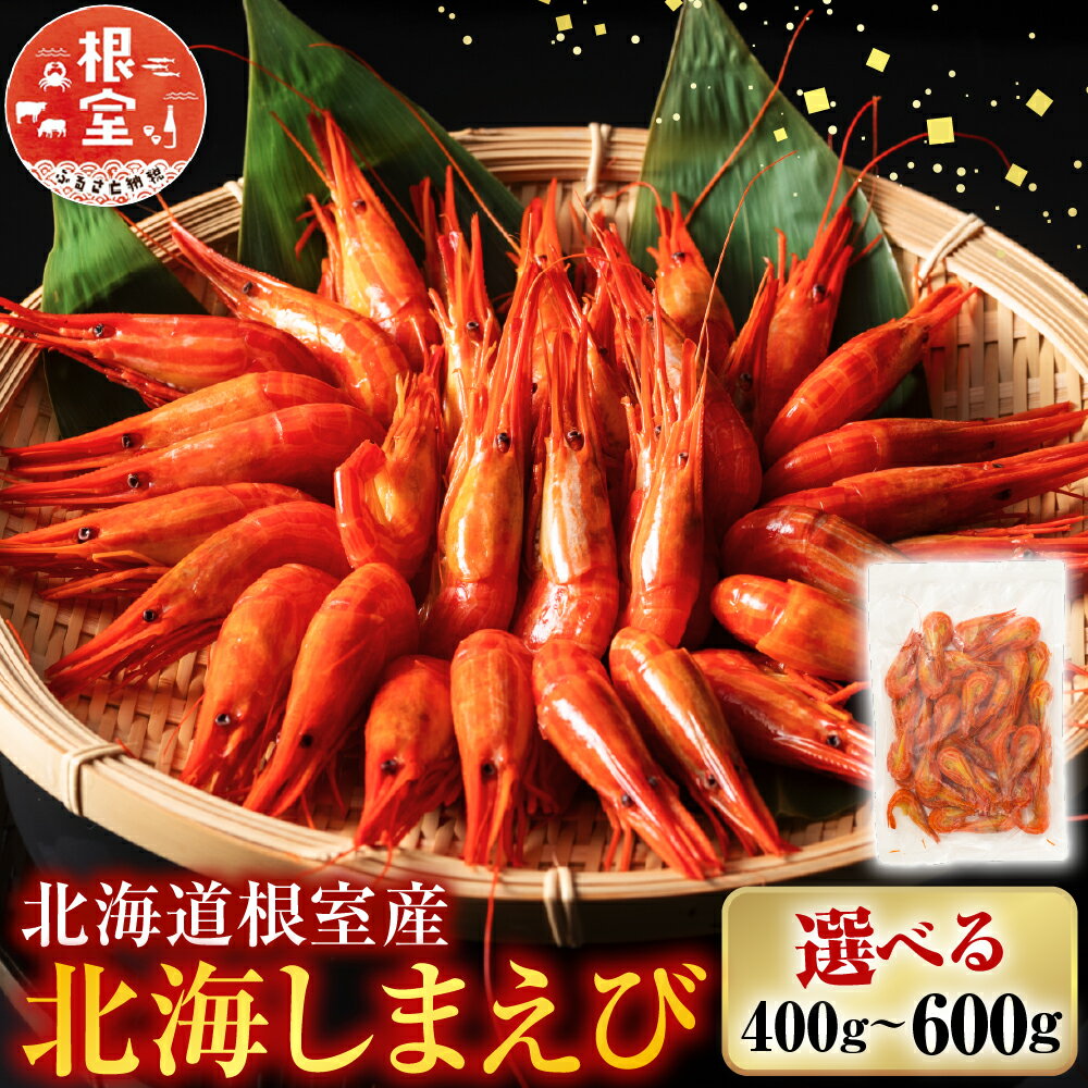 【ふるさと納税】 [北海道根室産] 北海しまえび 400g~600g 選べる エビ えび 海老 シマエビ 北海シマエビ しまえび 縞えび 縞エビ 縞海老 グルメ 海鮮 ボイル 茹でえび 茹でエビ 茹で海老 ゆでえび ゆで海老 ゆでエビ 根室市 ふるさと納税