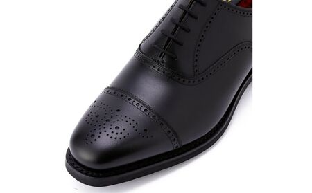 スコッチグレイン 紳士靴 「シャインオアレインIII」 NO.2720 メンズ 靴 シューズ ビジネス ビジネスシューズ ファッション 仕事用 パーティー フォーマル  25.5cm