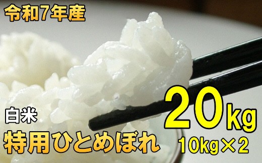 数量限定 令和7年産 岩手県奥州市産 特用ひとめぼれ 白米 20kg(10kg×2) 生活応援 緊急支援 【7日以内発送】 おこめ ごはん ブランド米 [AC039]