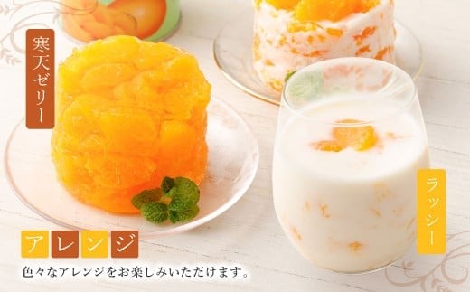 A270 山川みかん缶詰 12缶セット 【2026年1月下旬以降順次発送予定】_イメージ4