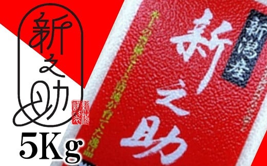 【令和7年産米】真空パック 特別栽培米 新之助 無洗米 5kg 山波農場のお米 新潟県産 [Y0059]