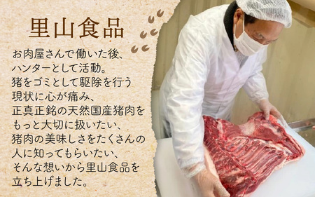 天然 猪肉 ロース 200g | ロース 奥能登穴水町産  